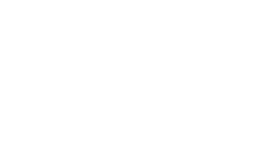 Ally